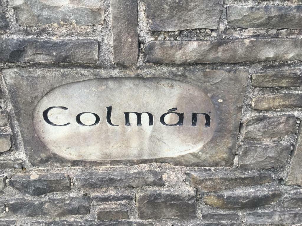 Colman House Bed & Breakfast Kilmihil Bagian luar foto